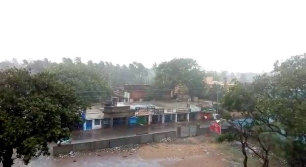 Trees are blown by strong winds ahead of cyclone Fani