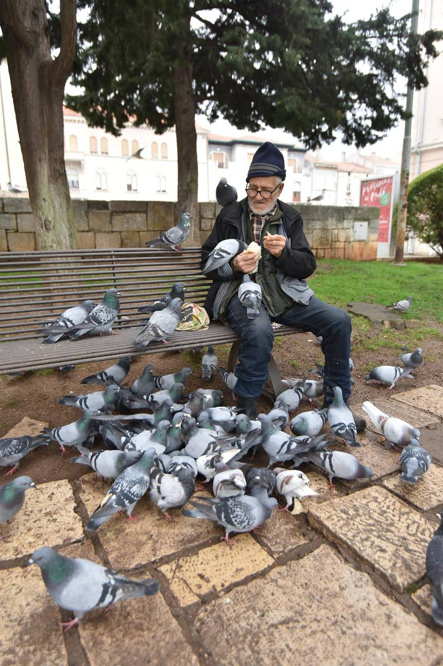 Dobri duh Pule Said Muharemi svakodnevno hrani golubove