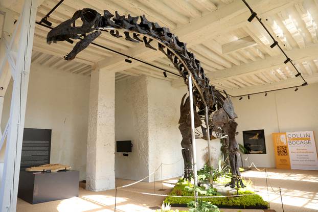 Giant dinosaur Vulcain to go on auction near Paris