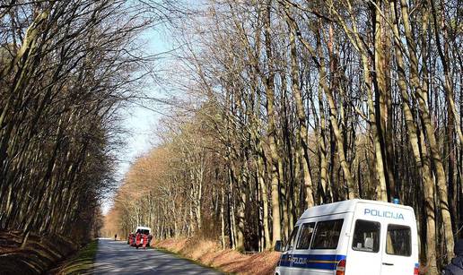 Krivotvorili popratnice i čekić za utiskivanje znaka na drva