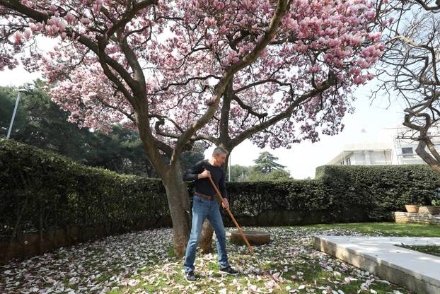 24sata Pula: Magnolija obitelji Borščak u Puli