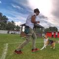 Kujica Kota nova je rekorderka - hoda unatraške na pet metara