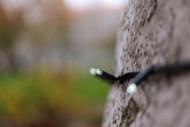 Zagreb: Zasvjetlile prve adventske lampice u parku Zrinjevac