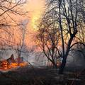 Vatrogasci se bore s požarom u Černobilu već peti dan zaredom