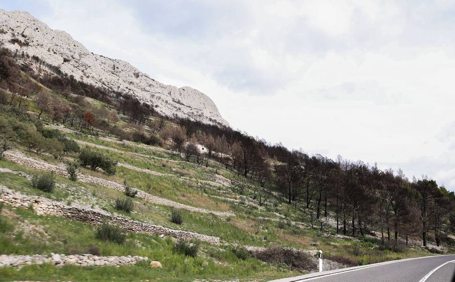 24SATA Omiš: Borna Budić, Ponos Hrvatske