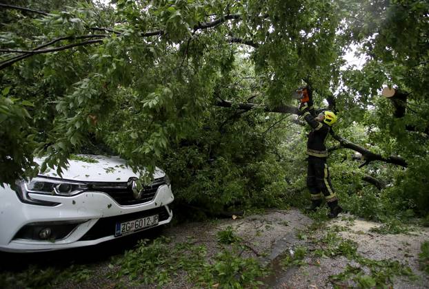 Zagreb: Na četiri automobila srušilo se stablo tijekom nevremena