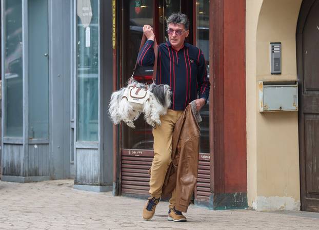 Zagreb: Pas poput modne torbice