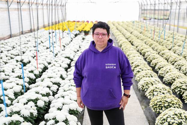 Kutina: Vrtlarica Marija Bagić koja uzgaja božićne zvijezde i krizanteme