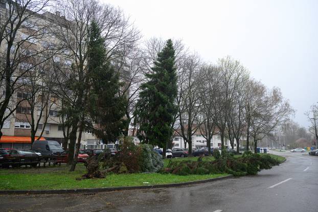Zagreb: Olujni vjetar poharao Špansko, dignuti krovovi i isčupana stabla 