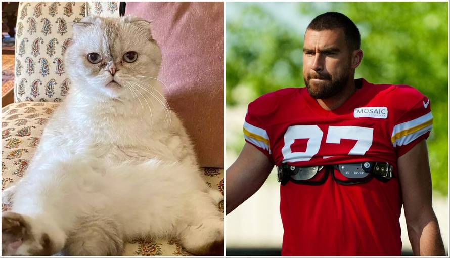 Mačka Taylor Swift bogatija je od dečka s kojim hoda: Vrijedna je oko 97 milijuna dolara...