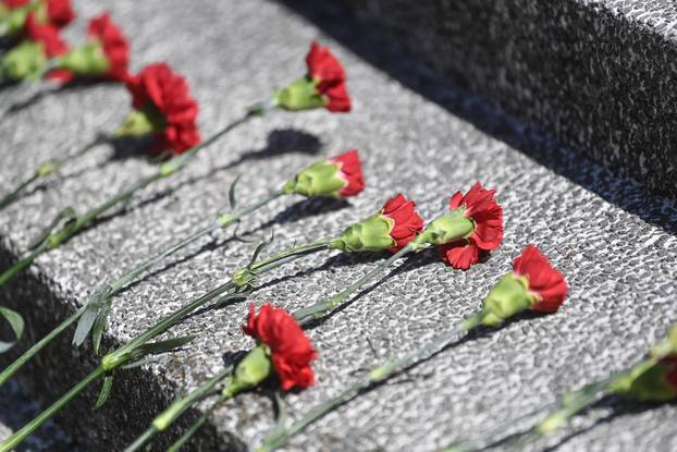 Sisak: Obilježavanje Dana antifašističke borbe u spomen-parku Brezovica