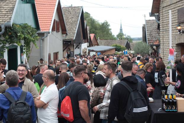 Zmajevac:  Vinski Bor maraton