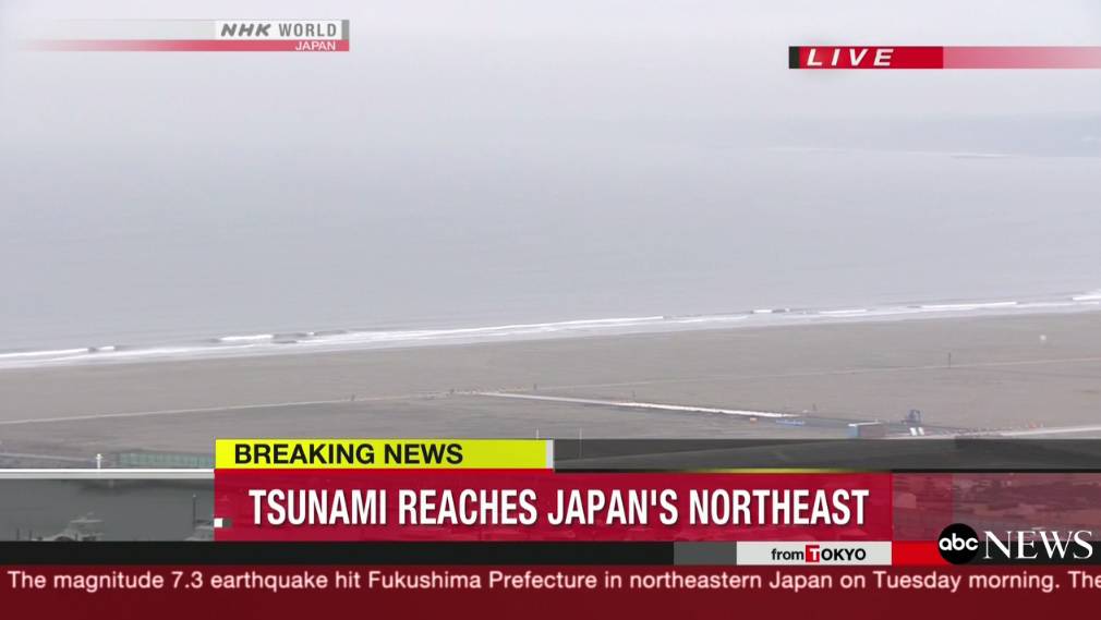 Jak potres zatresao Japan, tsunami pogodio Fukushimu