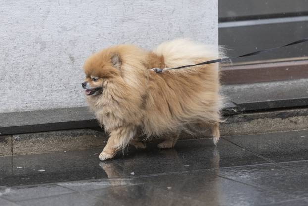 Zagreb: Robert Prosinečki prošetao centrom grada