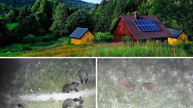 Gorski kotar: 'Medvjedi mi žive u dvorištu, jednom sam umalo stao na jednog koji je spavao'