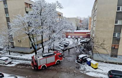 Policija o snježnom kaosu u Zagrebu:  Snijeg rušio stabla, oštećeno je pet automobila