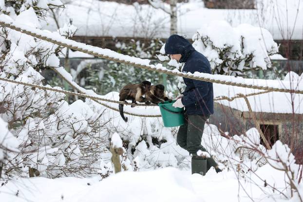 Zagreb: Snježno prijepodne u zoološkom vrtu