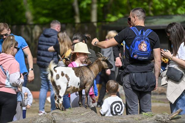 Zagreb: Podjela pisanica uz edukativni pogram za djecu u zoološkom vrtu
