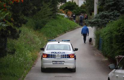 Išao u suludi pohod sjekirom, a kod kuće mu našli mrtvu majku: Ovakvih slučajeva je bilo još...