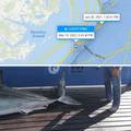Jeza postala stvarnost: Morski pas došao na mjesto koje je nadahnulo Spielbergove 'Ralje'