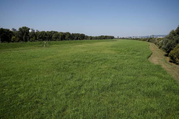 Započela je sezona alergenih biljaka u Zagrebu