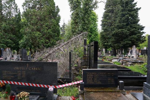 U oluji porušena stabla na Mirogoju napravila su veliku štetu