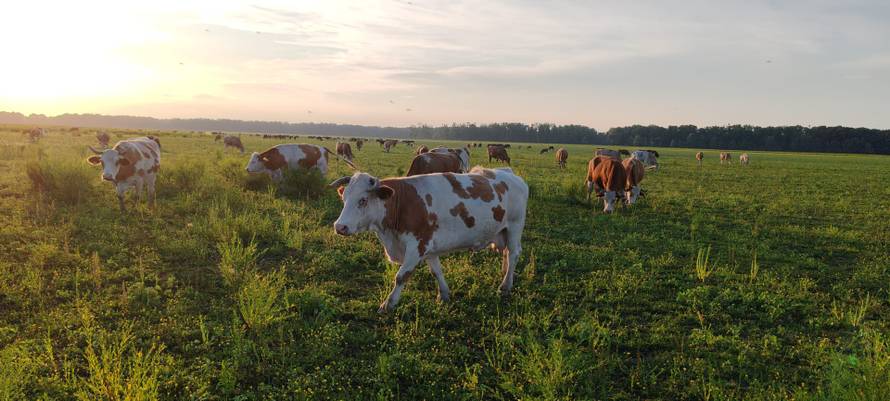 Jeste li primijetili ovu oznaku na proizvodima? Možda je važnija nego što mislite