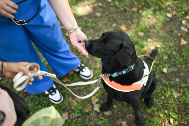 Zagreb: Ekotlon festival zelenih navika, poligon - Udruga za školovanje pasa vodiča