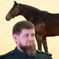 Putinov zloglasni čečen Kadirov bijesan: 'Ukrali su mi konja!'