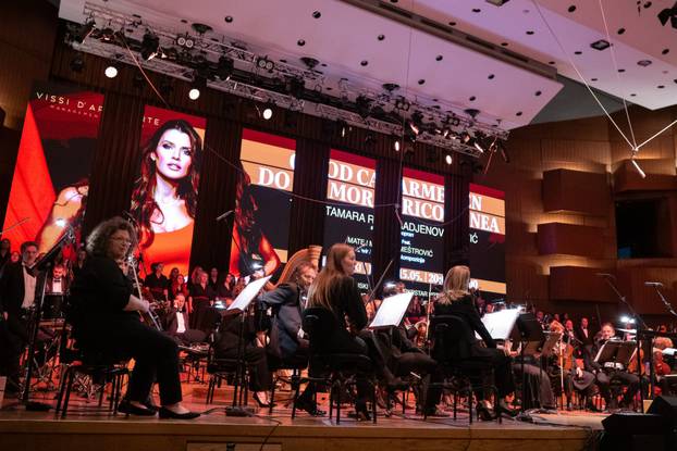 Zagreb: Tamara Rađenović održala koncert u Lisinskom