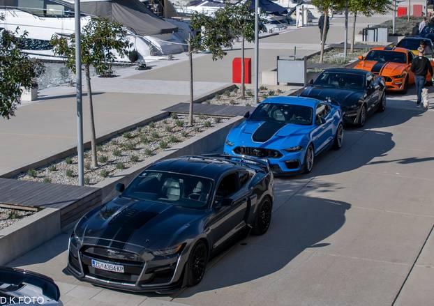 GALERIJA Kultni američki Mustanzi zablistali su u Rovinju