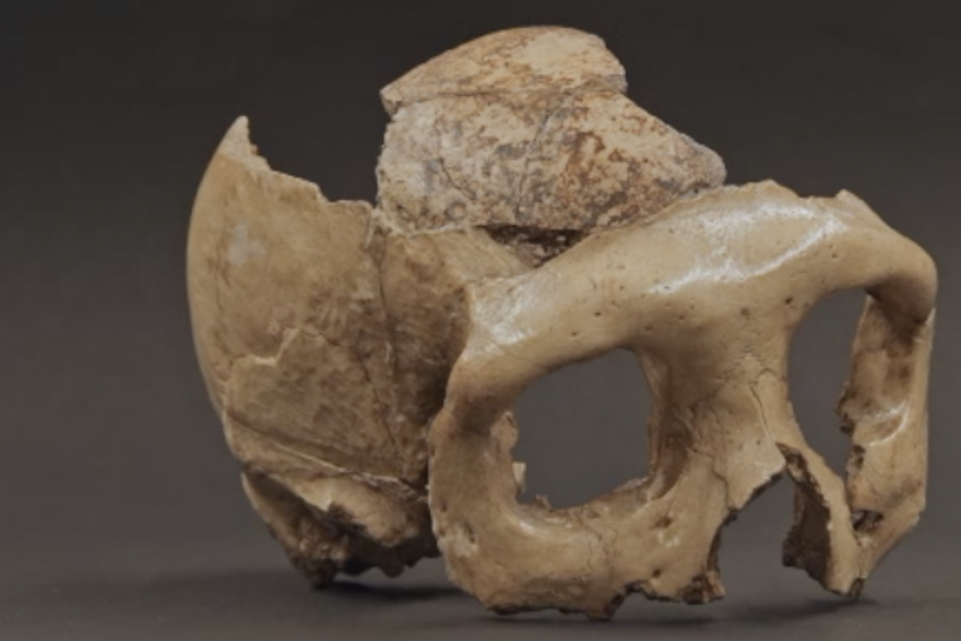 Zagorska Lubanja C nastavlja intrigirati znanstvenike: Njeni tajanstveni urezi simbolički su