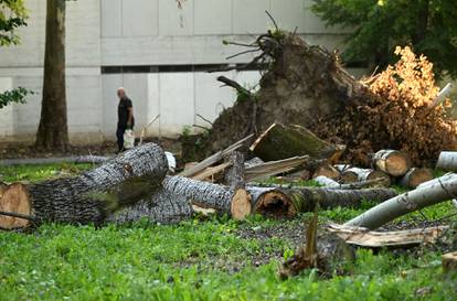 Park mladenaca u Zagrebu još nije počišćen od oluje iz srpnja