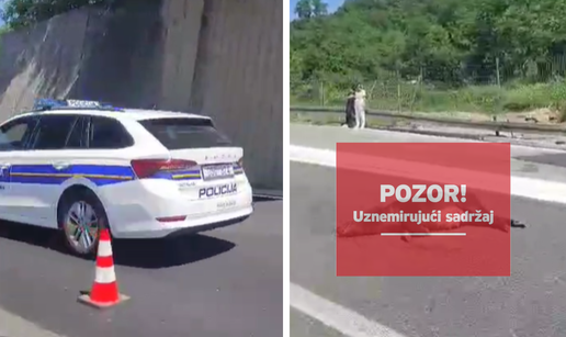 VIDEO BMW-om udario divlju svinju kod Rijeke: 'Nitko nije nastradao, osim nje  jadne...'