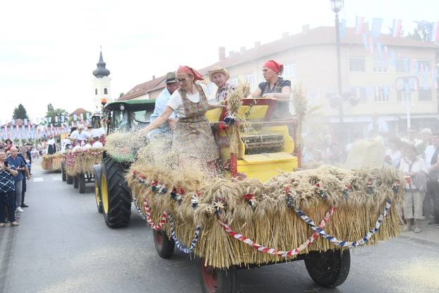 Daruvar: Obilježen je Dožinky, najveća kulturna manifestacija češke manjine u Hrvatskoj