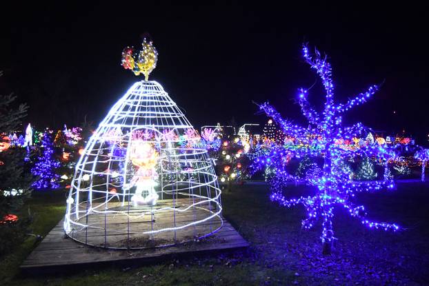 Grabovnica: Započela božićna čarolija svjetla obitelji Salaj