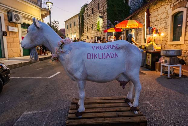 Vrgorac:  Održana 25 Biklijada napitak koji se pravi od Kozijeg Mlijeka i mladog Vina