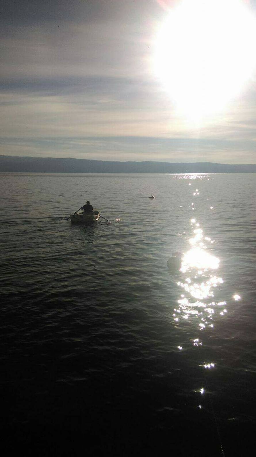 'Vidjela sam dupina i čekala da skoči, ali bio je nažalost mrtav'