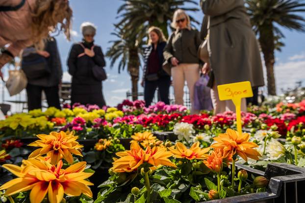 Otvorenje 49. sajma cvijeća u Splitu