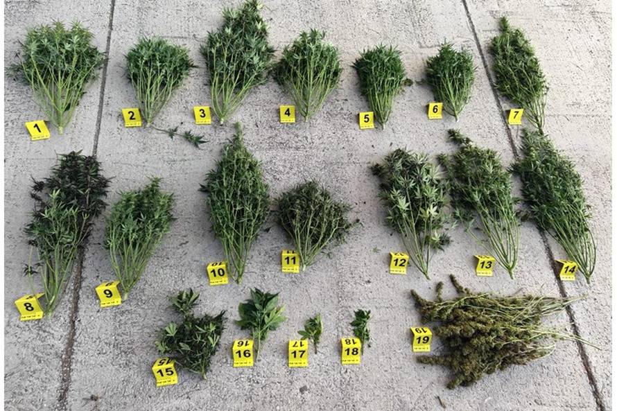 FOTO Velika akcija na obali: Policija od Solina do Hvara uhitila čak sedam dilera