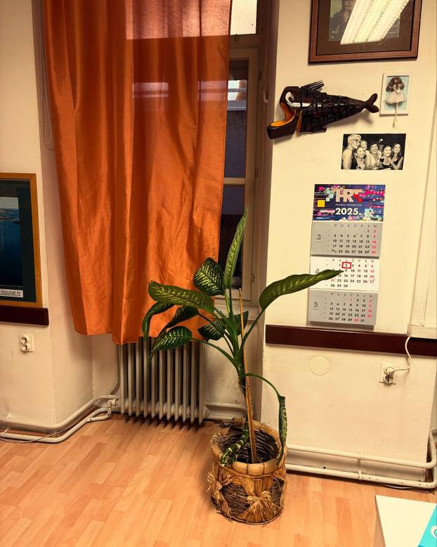 FOTO Novinarka Ivana Perić skinula gotovo 50 kilograma: Ovo su njezini zdravi recepti!