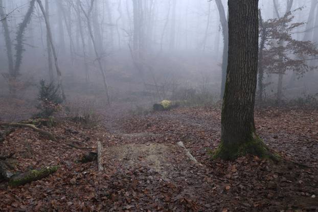 24SATA Zagreb: U planu je uklanjanje biciklističke staze u Maksimiru