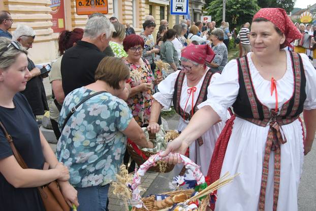 Daruvar: Obilježen je Dožinky, najveća kulturna manifestacija češke manjine u Hrvatskoj