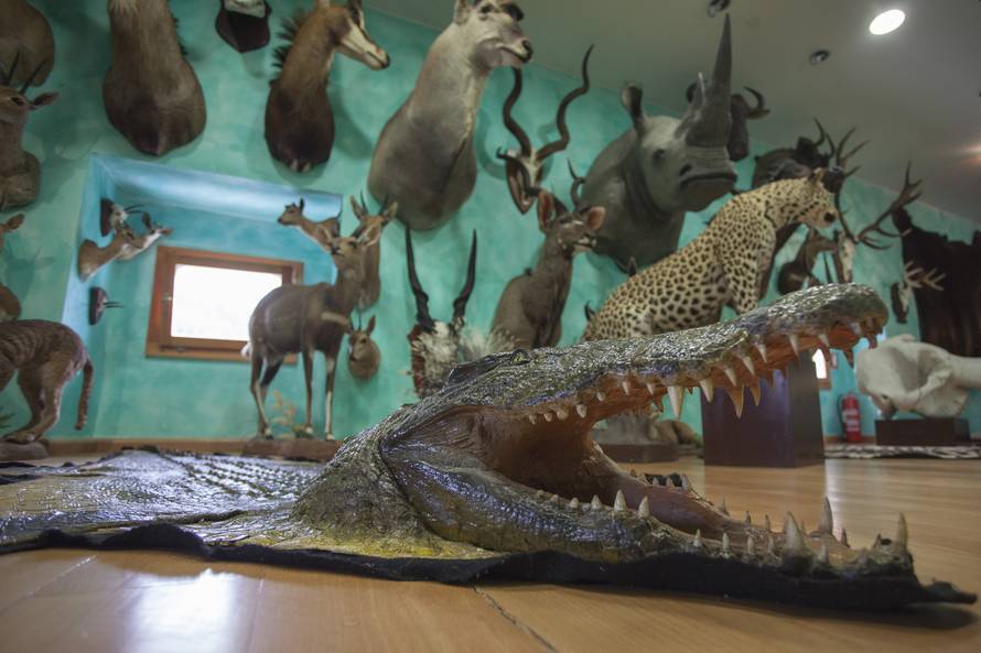 Nitko ne želi trofeje riječkog tajkuna: Djecu su užasavali...