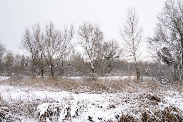 Kopački rit: Zimska idila u Baranji 