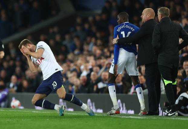 Premier League - Everton v Tottenham Hotspur