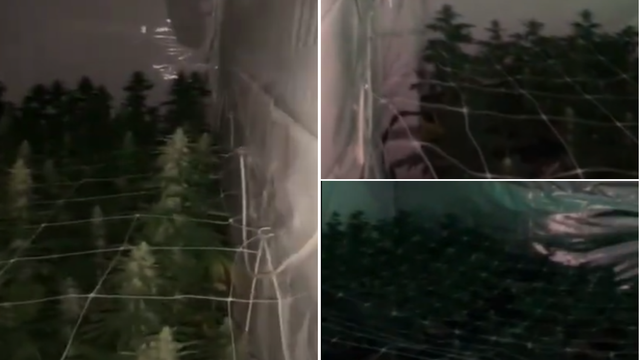 VIDEO Pogledajte laboratorij droge koji je zagrebačka policija našla na području Črnomerca