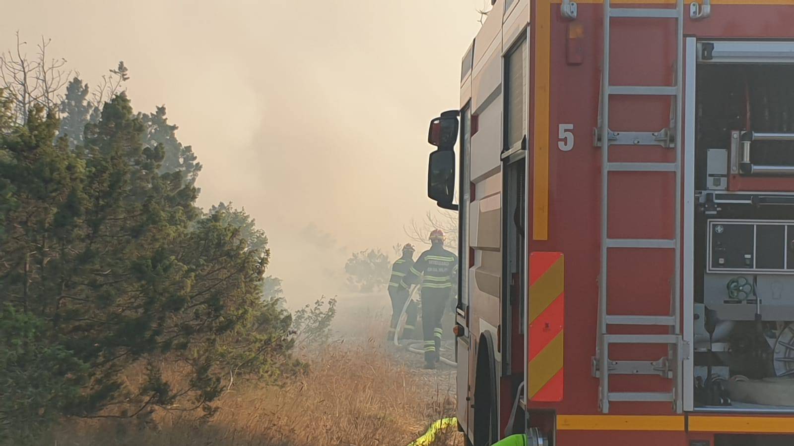 Čiovo: Izgorjelo 5000 kvadrata borove šume i niskog raslinja