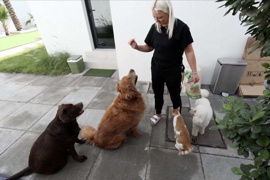 Dubai: Brinu o napu&scaron;tenim psima nakon masovne evakuacije