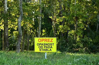 Park mladenaca u Zagrebu još nije počišćen od oluje iz srpnja